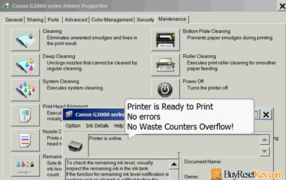printer is online, reset canon 5B00 error done